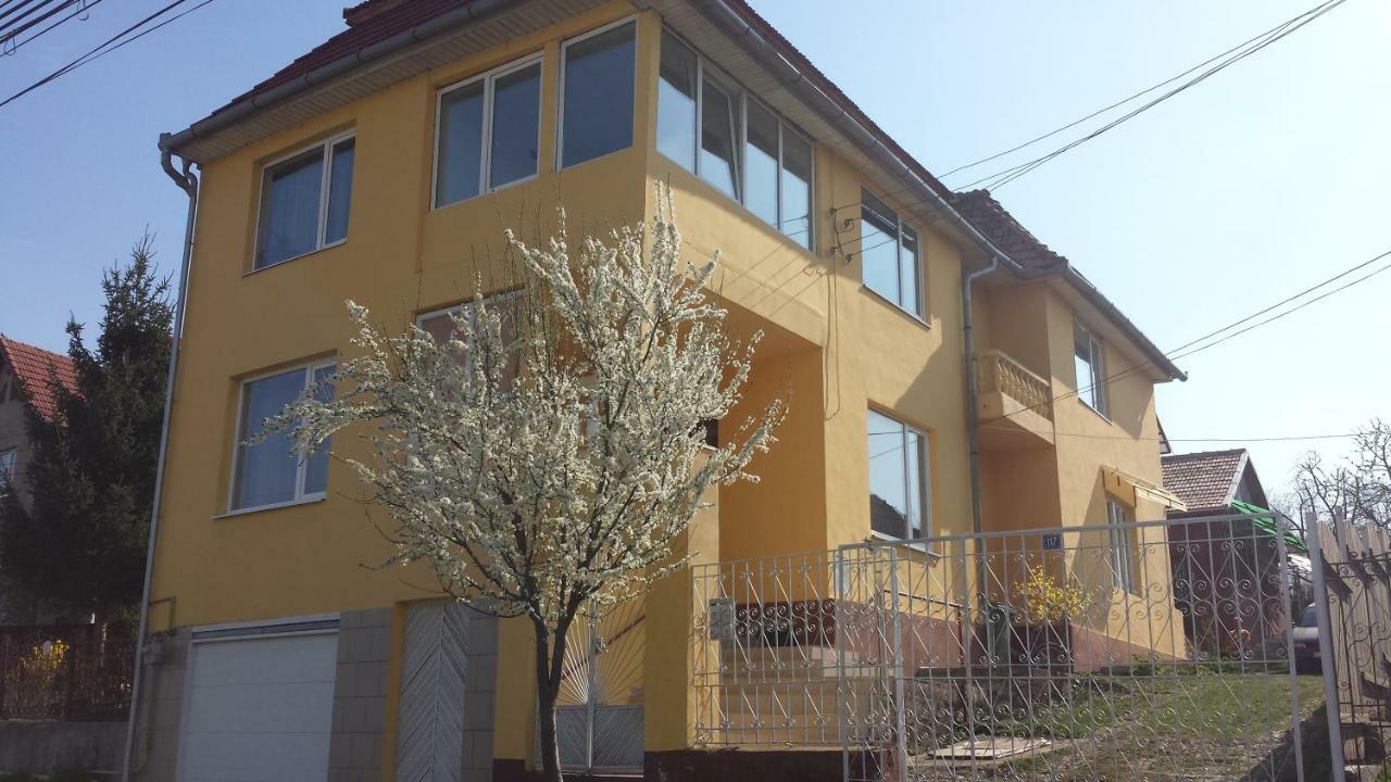Hotel Casa Salin Turda Exterior foto